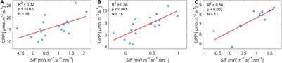 Site Characteristics Mediate the Relationship Between Forest Productivity and Satellite Measured Solar Induced Fluorescence